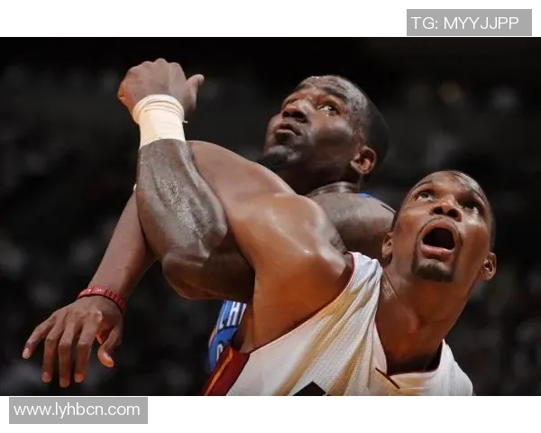 2015至2016赛季热火与黄蜂精彩对决回顾与分析